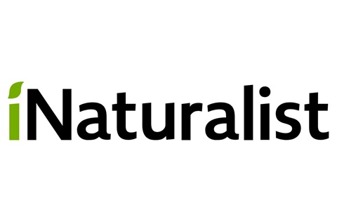 iNaturalist logo.jpg