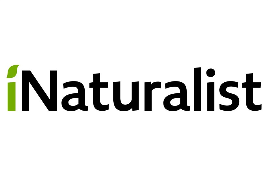 iNaturalist logo.jpg