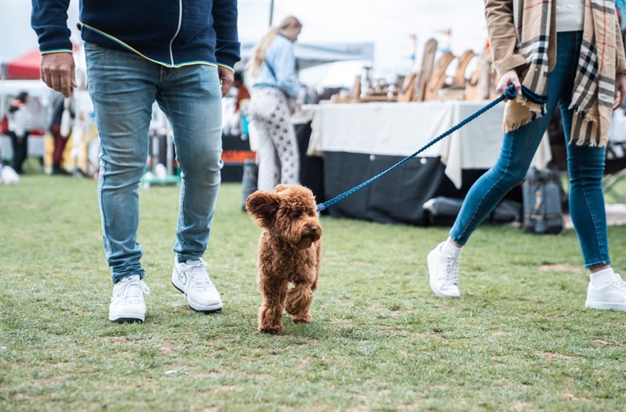 Couple walking a dog.jpg