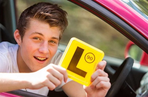 Young man in car holding L plates