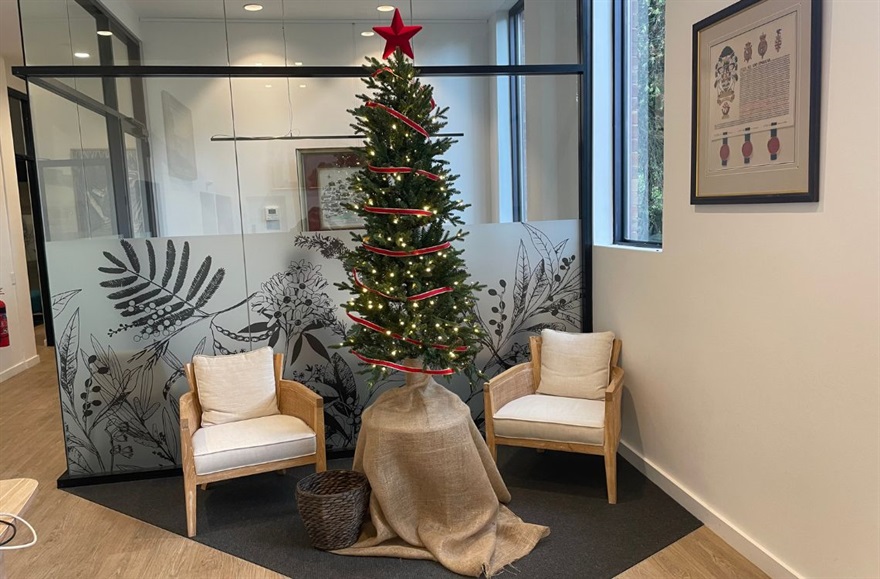 Christmas tree in Town Hall foyer.jpg