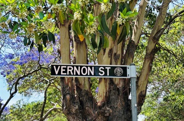 New street sign in Vernon St