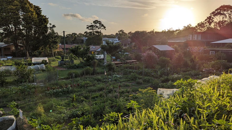 Happy Hens Community Garden