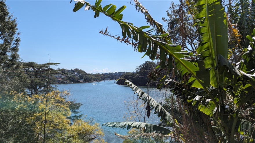 Lane Cove River