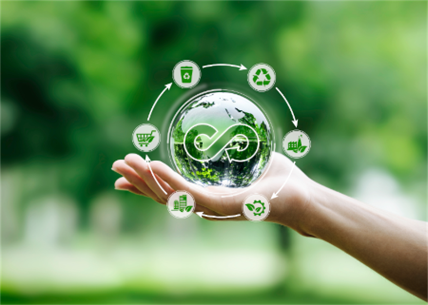 Hand holding green globe with trees in background