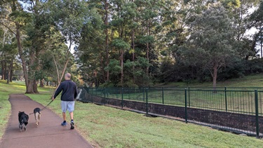 Photo shows a gentleman taking his two dogs for a walk (both appear to be kelpie/cattle dog crosses or similar). The dogs are walking on the left hand side of the gentlemen and they are walking away from the camera, deeper into Tarban Creek Reserve. To the right of sir, there is a fence that guards against people falling into the Tarban Creek (proper). On the other side of the creek is a dense collection of trees.