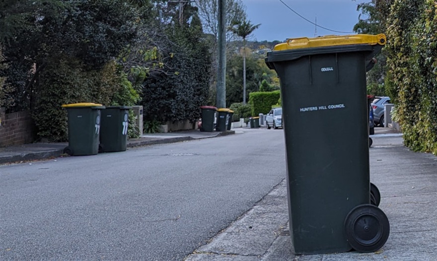 Bins on street.jpg