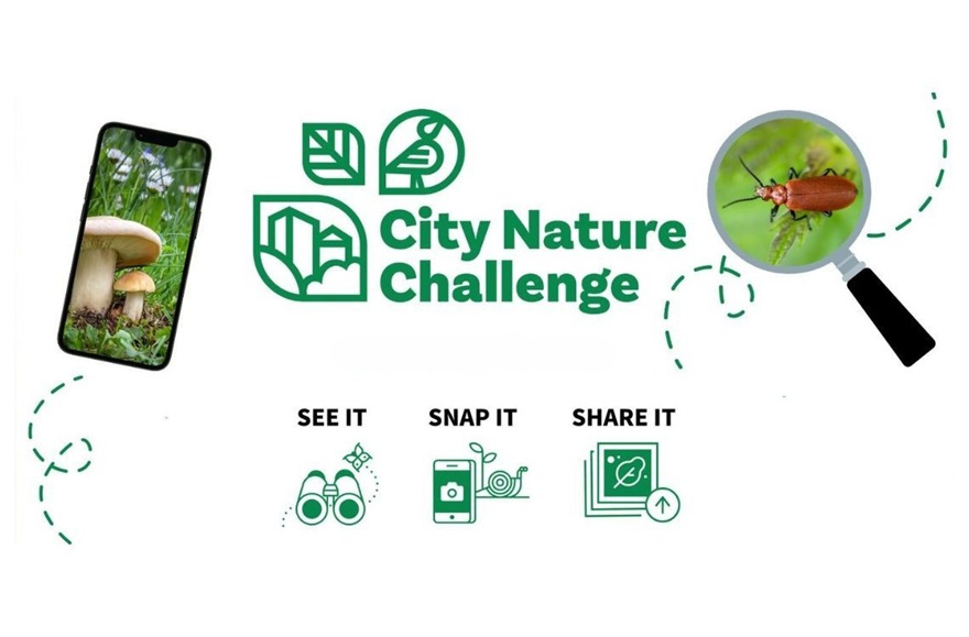 City nature challenge.jpg