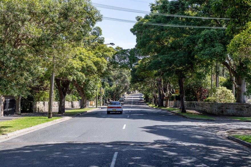 A tree-lined Hunters Hill street