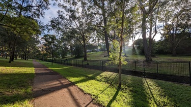 Photo showing the footpath running from the bottom of the frame, leading towards the left of frame, all the way down to the vanishing point in the background. The pathway is flanked by trees on the left and by the Tarban Creek on the right. The early morning sun is just beginning to crest the horizon that sits high (and to the right of frame) above the reserve, so there are light rays being cast down into the reserve and they are glittering through the early morning dew. The sunlight has fully illuminated one small juvenile tree that is in the foreground.